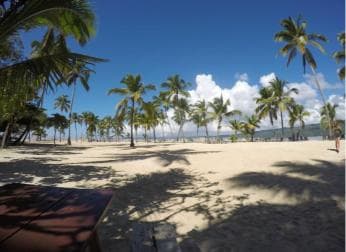 Samana: Whale Watching Tour - Photo 3 (Gallery view)