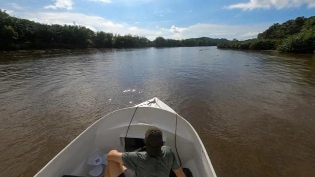 Costa Rica Mangroven-Tour: Terraba National Wetlands – Uvita - Dominican Republic