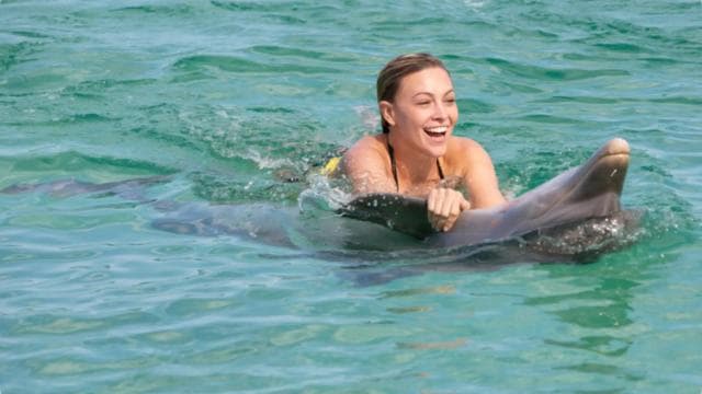 Punta Cana: Dolphin Action Program - Photo 4 (Gallery view)