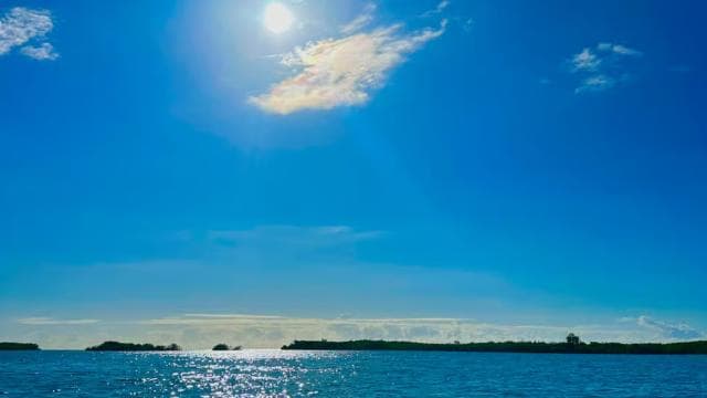 Gilligan Paradise: Snorkeling Adventure & Seafood Delight - Photo 3 (Gallery view)