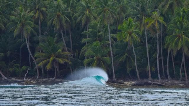 Jaco: Learn and Practice Surfing in Jaco, Costa Rica - Photo 2 (Gallery view)