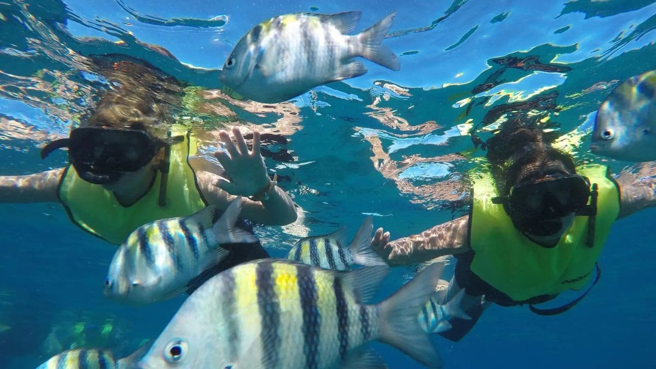 Scuba Dive in Sosua Cabarete - Photo 5 (Gallery view)