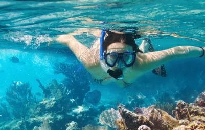 Saona Island: Punta Cana All-Inclusive - Photo 2 (Gallery view)