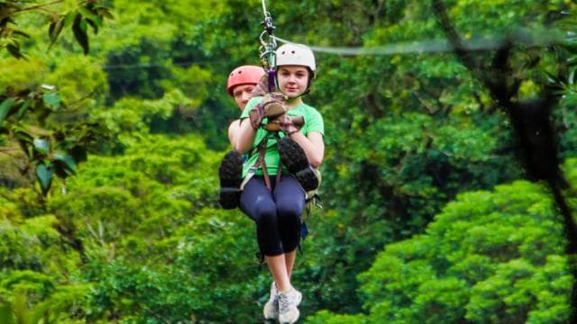 Monteverde: Zip Line, Bridges, and Butterfly Garden Tour - Photo 3 (Gallery view)