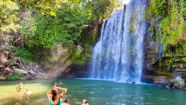 Guanacaste: gita di un giorno alla foresta pluviale, ai bradipi e alla natura con pranzo - Photo 2 (Gallery view)
