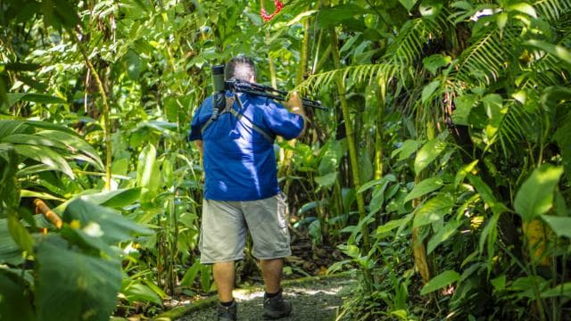 La Fortuna: Sloth Tour in Arenal Volcano Park & Local Snack - Photo 5 (Gallery view)
