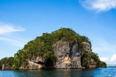 Sabana de la Mar:Los Haitises National Park: Boat Tour and Cave Visit - Photo 3 (Gallery view)