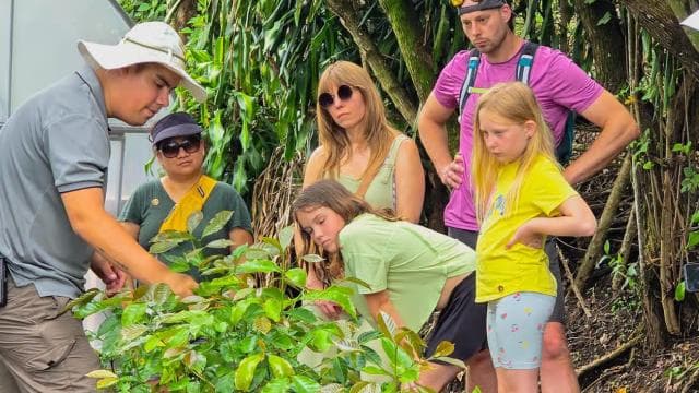 Monteverde: Coffee, Chocolate, and Sugar Cane Tour - Dominican Republic