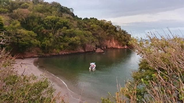 From Jaco: Bioluminiscence Boat Tour with BBQ & Drinks - Dominican Republic