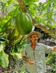 Puerto Plata: Taino Valley and Dominican Flavor Experience - Photo 4 (Gallery view)