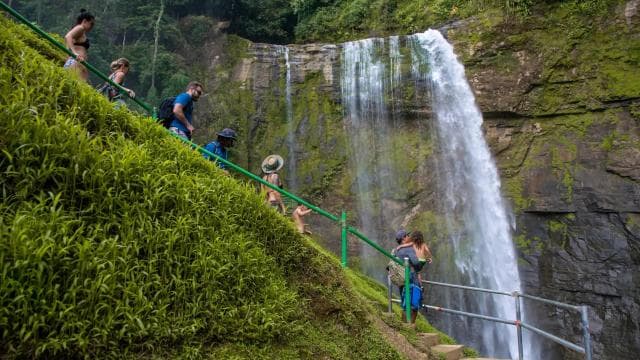 Manuel Antonio: Eco Chontales Waterfall Hike with Lunch - Photo 5 (Gallery view)