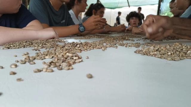 La Fortuna: esperienza del tour del caffè locale - Photo 5 (Gallery view)