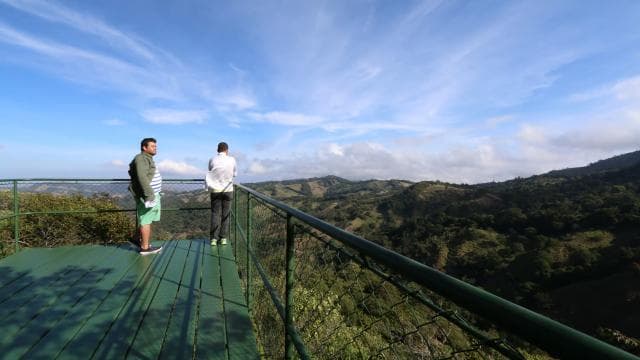 Monteverde: Jungle Zipline & Tarzan Swing with Transfer - Dominican Republic