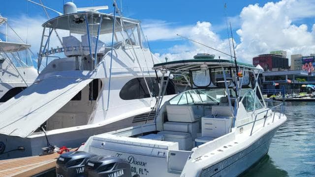 Prywatne „PARTY BOAT” lub „SUNSET TOURS” w zatoce San Juan - Photo 5 (Gallery view)