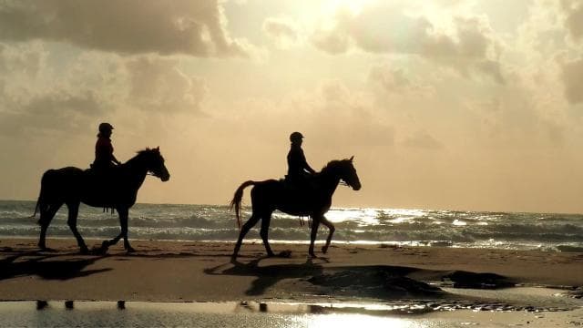 Tamarindo: Horseback to Conchal Beach Guanacaste, Costa Rica - Photo 2 (Gallery view)