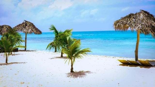 Saona Island Day Trip + Lunch + Open Bar from Punta Cana - Photo 5 (Gallery view)