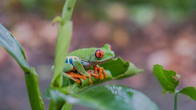 Natura Eco Park Admission: Wildlife Sanctuary - Photo 3 (Gallery view)