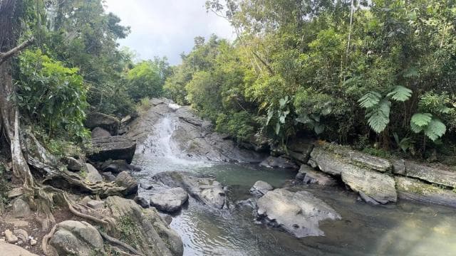 EL YUNQUE & BEACH TOUR: Waterslide, Waterfall, Food & Photos - Photo 3 (Gallery view)
