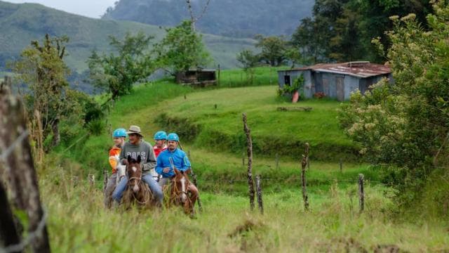 Monteverde: Waterfalls, Wild Trekking and Horseback Riding - Photo 2 (Gallery view)