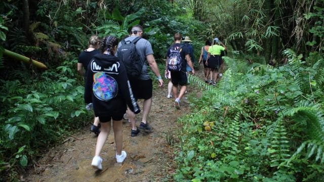 San Juanból: Rainforest Walk, Nature Swim és Luquillo Beach - Photo 5 (Gallery view)