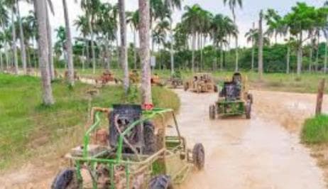 Punta Cana: Saona Island & Buggy Adventure 2-Day Tour - Photo 3 (Gallery view)
