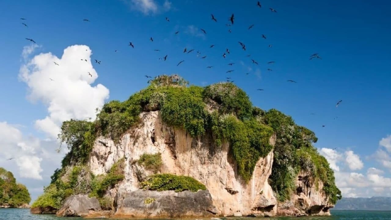 Samana: El Limon + Cayo Levantado with Lunch Included - Photo 3 (Gallery view)