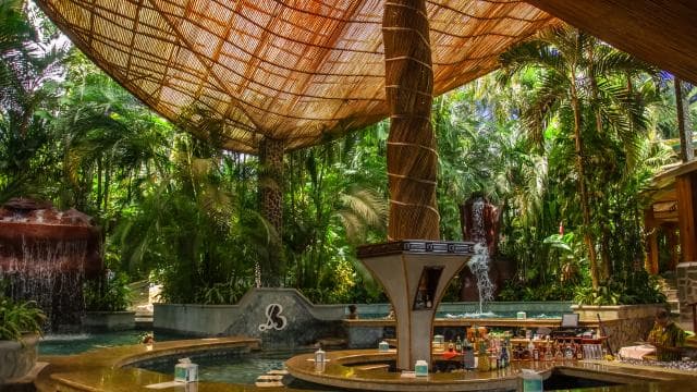 Costa Rica: pase de un día a Baldi Hot Springs con comidas opcionales - Photo 5 (Gallery view)