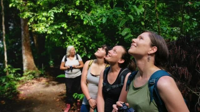 Parcul Național Corcovado: Tur cu ghid - Zi întreagă - Photo 5 (Gallery view)