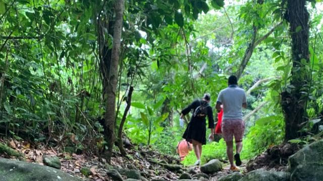 El Yunque nemzeti esőerdői természetjárás és Luquillo strand - Photo 2 (Gallery view)