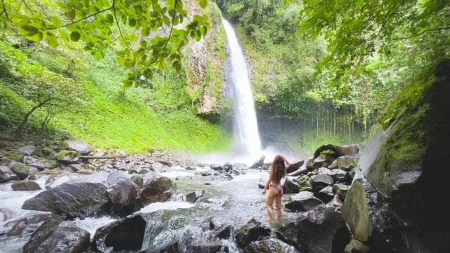 La Fortuna: Hanging Bridges, Arenal Volcano, and Falls Tour - Photo 2 (Gallery view)