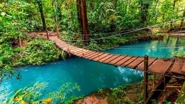 Rio Celeste Waterfall and Sloth Hike with Lunch - Photo 3 (Gallery view)
