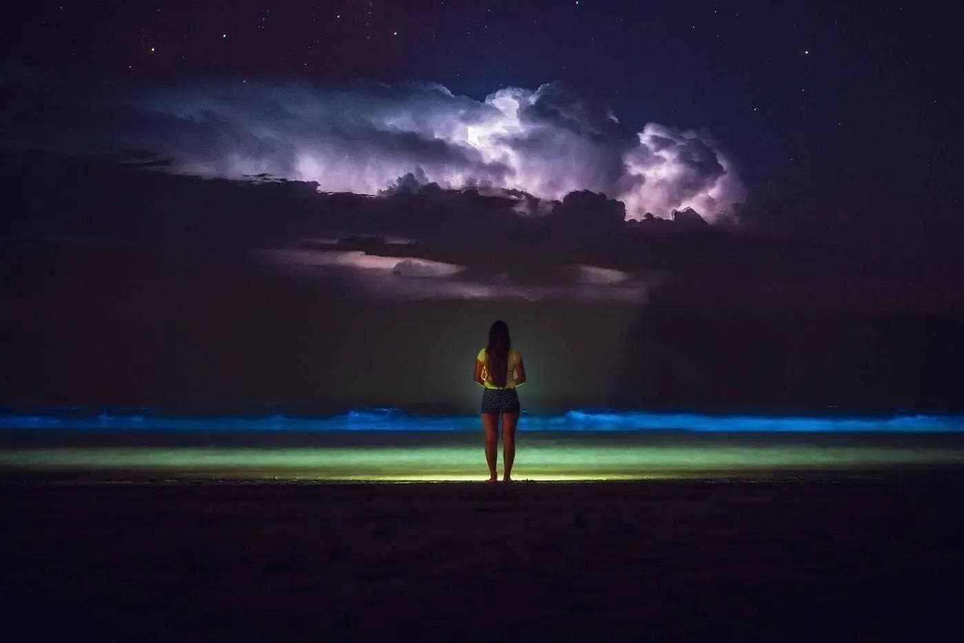 Bioluminescent Bay Adventure in Grand Cayman - Photo 4 (Gallery view)