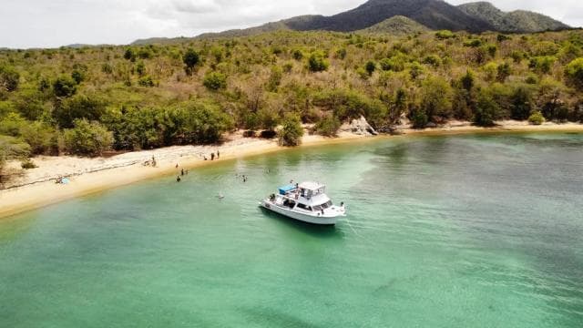 Fajardo: Snorkeling Boat Tour with Snacks and Drinks - Photo 3 (Gallery view)