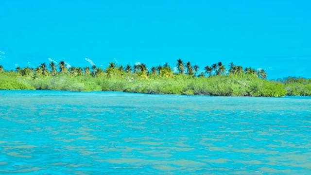Punta Cana: Catalina Island Day Trip with Snorkeling - Photo 5 (Gallery view)