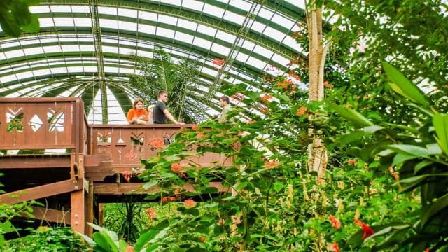 Monteverde: puentes colgantes, perezosos y mariposas - Photo 5 (Gallery view)