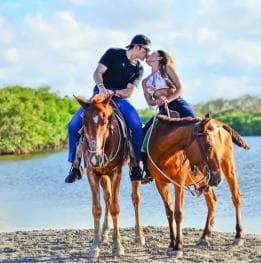 Punta Cana: Guided Horseback Tour of Beaches and Fields - Photo 3 (Gallery view)