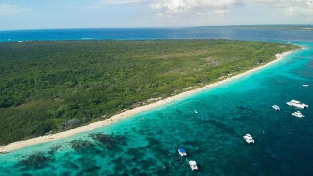 Punta Cana: Šnorchlovanie na ostrove Catalina s obedom - Photo 3 (Gallery view)
