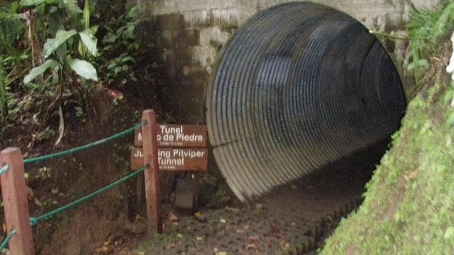 Halbtägige Tour zu den Arenal-Hängebrücken ab La Fortuna - Photo 3 (Gallery view)