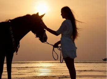 Makadi Bay: Reiten in Wüste und Meer mit Führer + Transfers - Photo 5 (Gallery view)