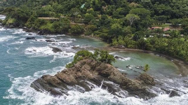 Uvita: Marino Ballena National Park Whale-Watching Tour - Photo 2 (Gallery view)