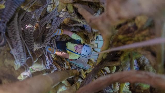 The Original Canopy Tour Monteverde - Photo 5 (Gallery view)
