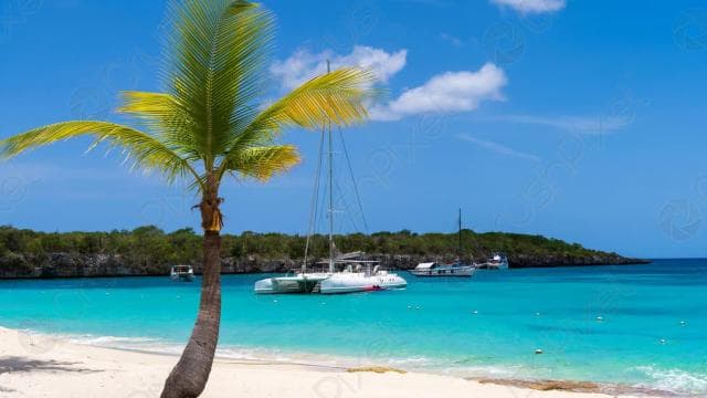 Punta Cana: Scuba Diving Catalina Island Cruise with Lunch - Photo 3 (Gallery view)