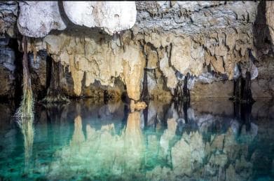 Private: Bayahibe: Jungle Walk and Cenote Snorkeling Tour - Photo 2 (Gallery view)