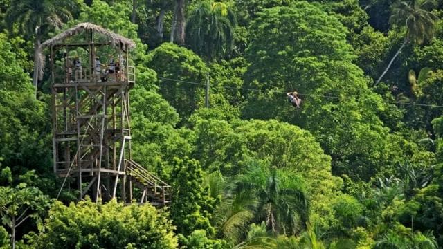 Zip Line in Punta Cana - Dominican Republic