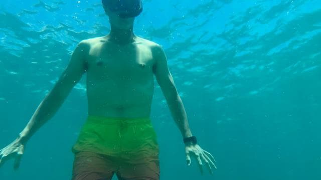 Boat & Snorkel Experience — Full Day with Lunch - Dominican Republic