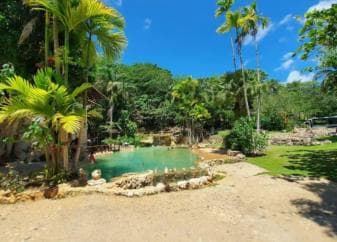 Private Samaná: Los Haitises Park, Caño Hondo & Yanigua Tour - Photo 2 (Gallery view)