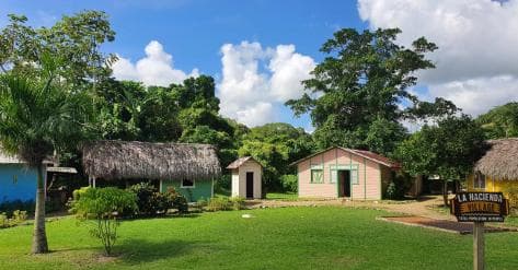 Punta Cana: Buggy and Zipline Adventure at La Hacienda - Photo 5 (Gallery view)