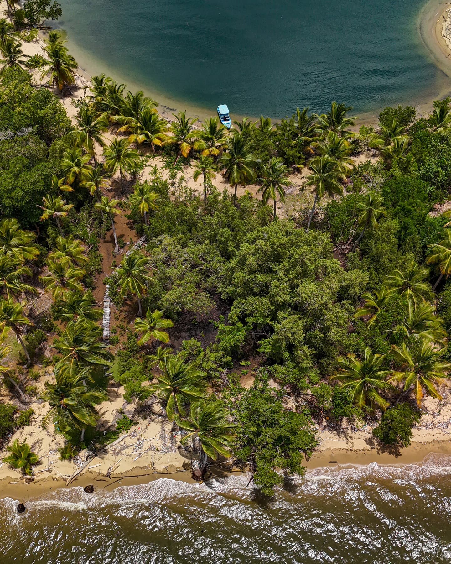 Punta Cana Los Haitises Park, Yanigua Waterfall, & Montaña Redonda Tour - Photo 5 (Gallery view)