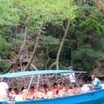 From Punta Cana: Los Haitises and Redonda Mountain Day Trip - Photo 4 (Gallery view)