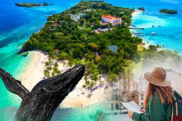 From Samaná: Whale Watching and Cayo Levantado Island Tour - Dominican Republic